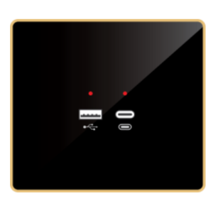 USB Type A & C Type
